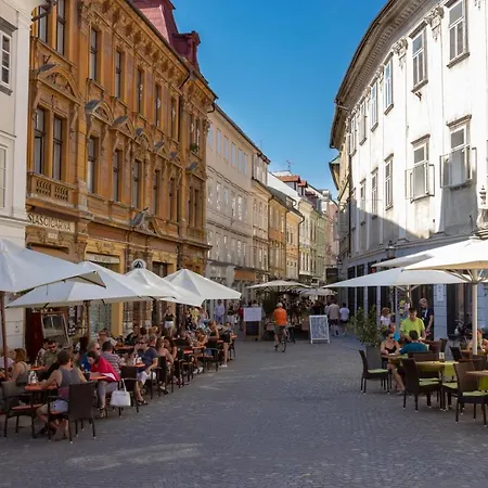 Center With Parking Apartment *