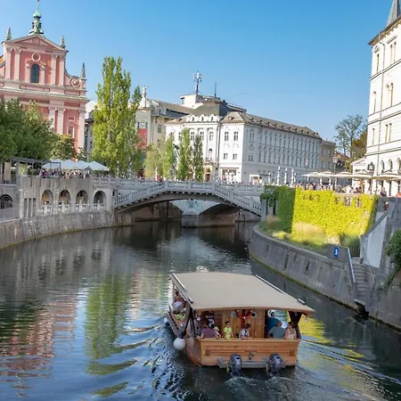 Center With Parking Apartment Laibach